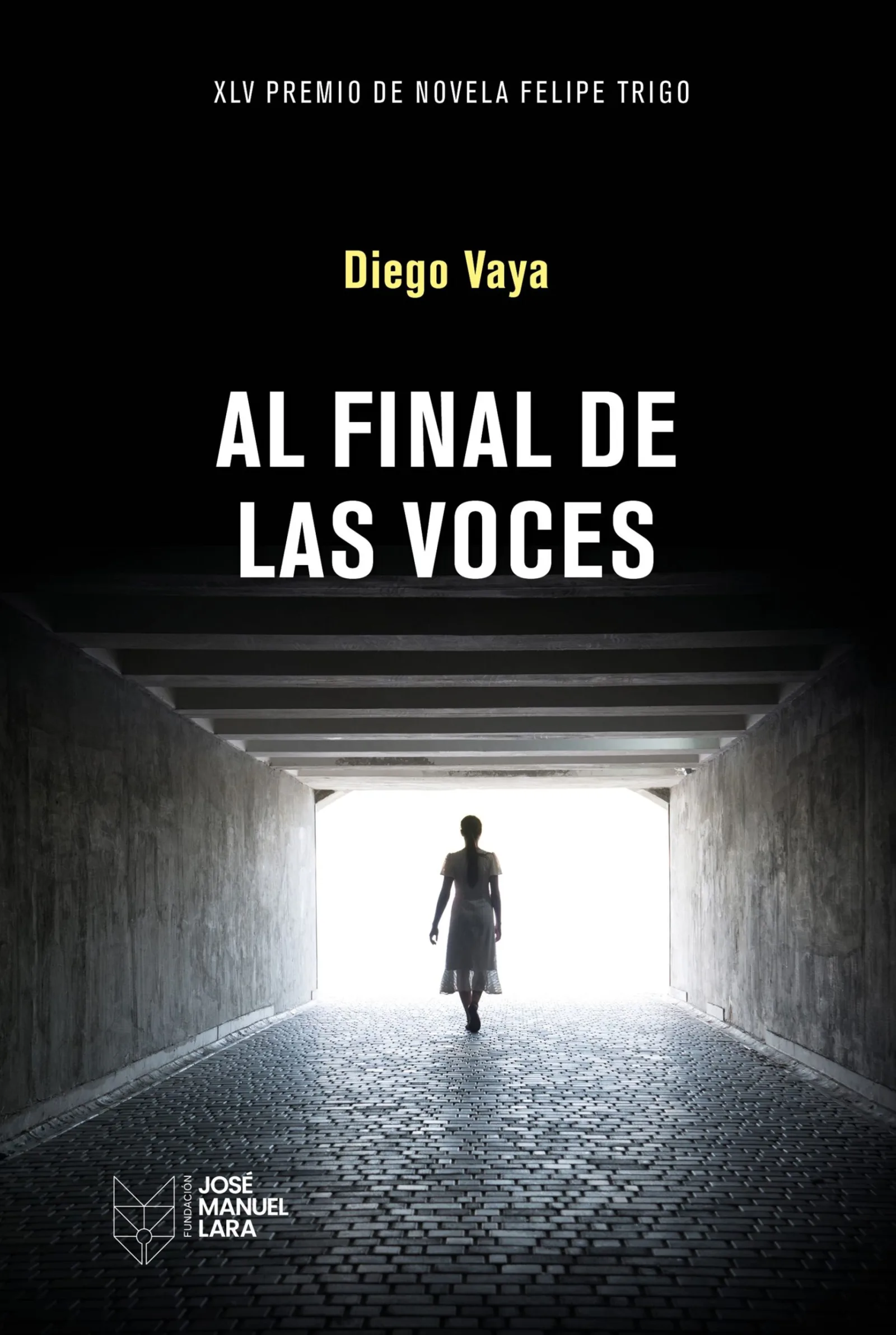 Presentación de «Al final de las voces», de Diego Vaya