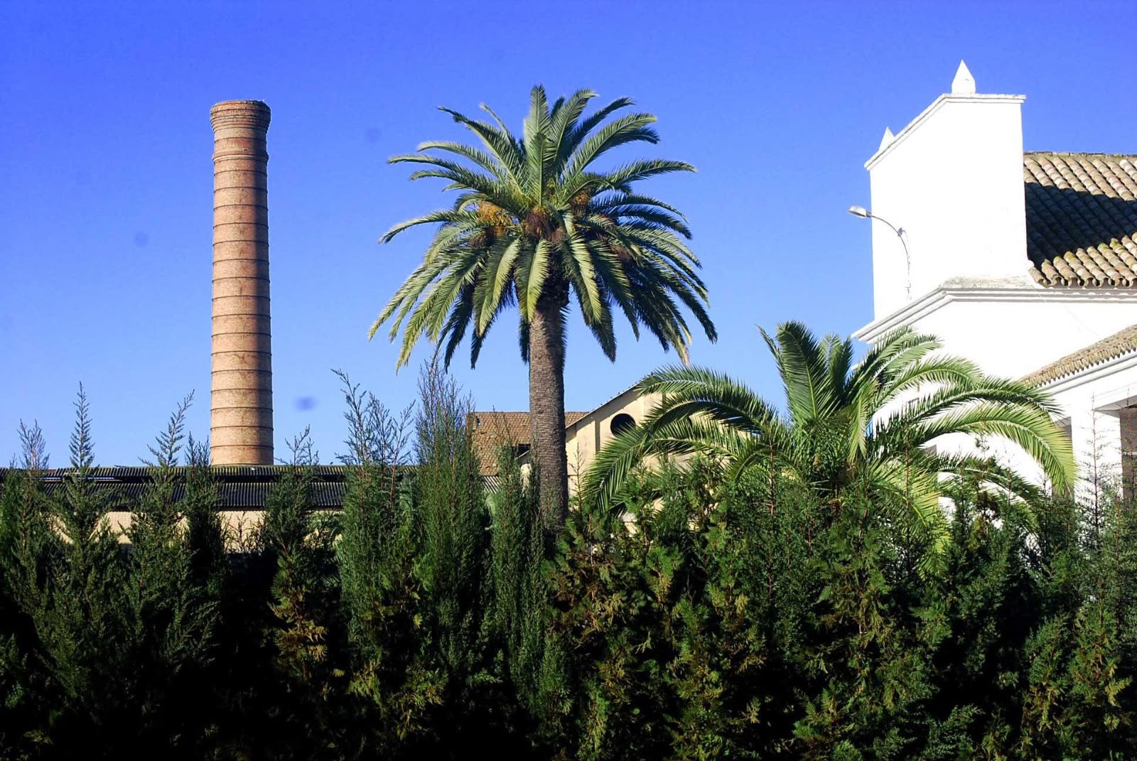 Imagen de la noticia: Los Rosales conmemora el centenario de su azucarera con humo simbólico en la chimenea
