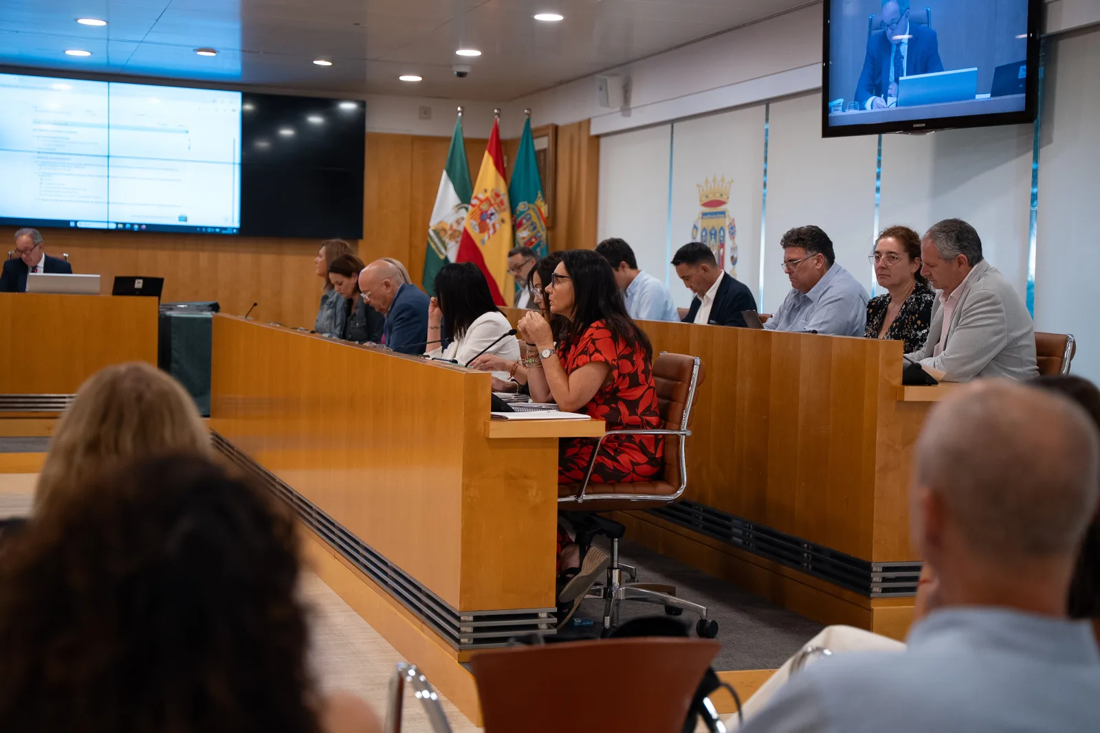 Imagen de la noticia: La Diputación abre anticipos de hasta tres mensualidades para la ayuda a domicilio