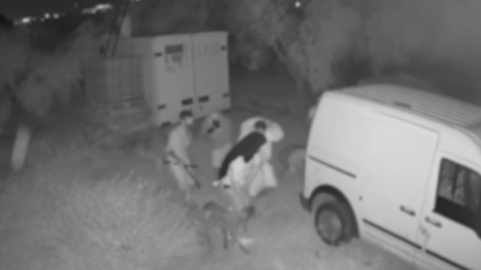 Imagen de la noticia: La Guardia Civil recupera ocho galgos robados en Bollullos y detiene a cuatro personas
