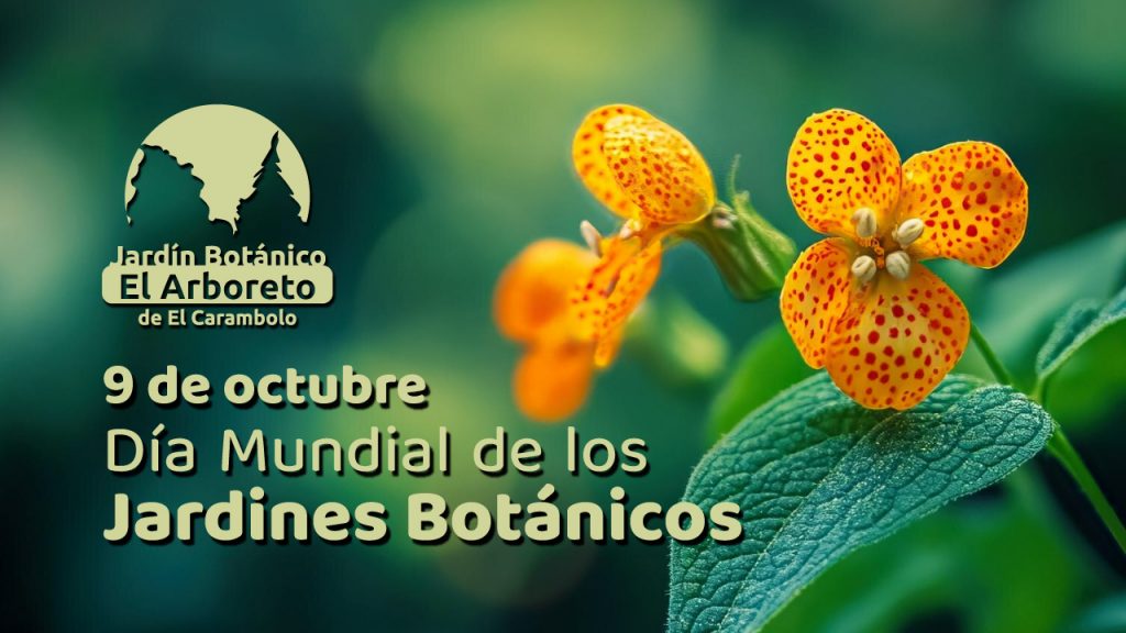 Puertas abiertas en el jardín botánico El Arboreto
