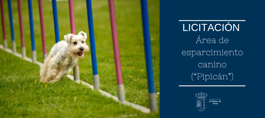 Image for the story: El Palmar de Troya puts out to tender dog recreation areas at the fairground