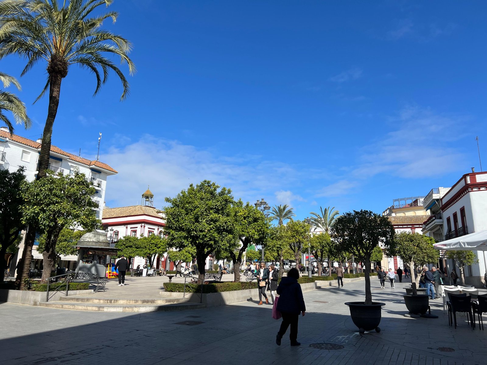 Imagen de la noticia: Lebrija busca comercios con más de 40 años para el Distintivo Emblemático