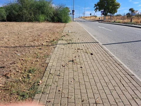 Image for the story: Guillena hoses down the streets of its three population centres every week