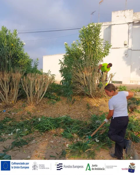 Image for the story: Eight young people from Villamanrique are already working with six-month contracts under the Actívate Joven plan