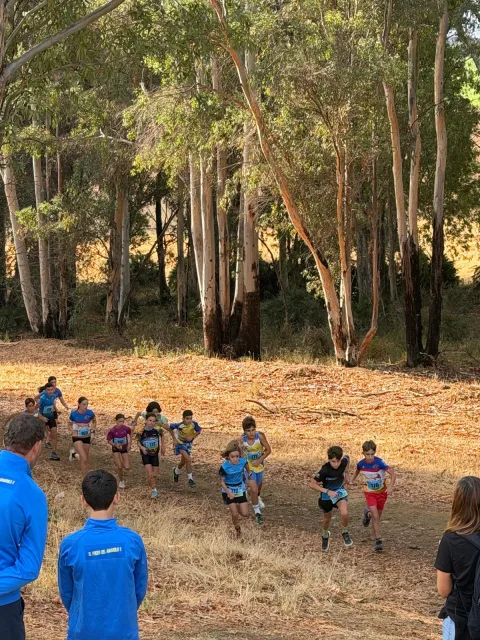 Imagen de la noticia: Guillena cierra la Copa de Sevilla de carreras por montaña con más de 70 participantes