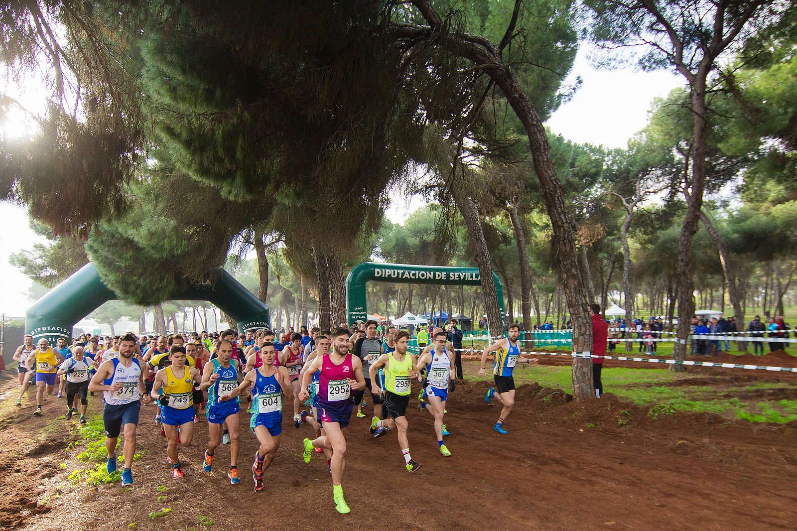 Imagen de la noticia: Mairena del Alcor abre el Circuito Provincial de Campo a Través con hasta 2.000 atletas