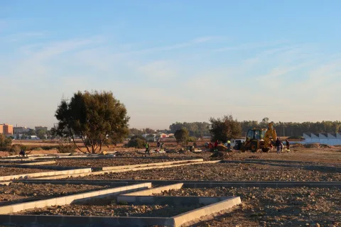Imagen de la noticia: Utrera pide a la Junta 273.953 euros para ampliar el arbolado de Vistalegre