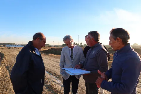 Imagen de la noticia: Utrera pide a la Junta 273.953 euros para ampliar el arbolado de Vistalegre