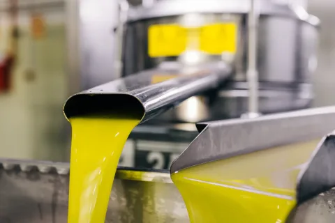 Imagen de la noticia: Oleoestepa abre sus 19 almazaras para la campaña de aceituna