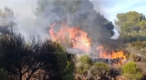 Imagen de la noticia: Un incendio en la zona recreativa de El Gergal se extingue el mismo sábado