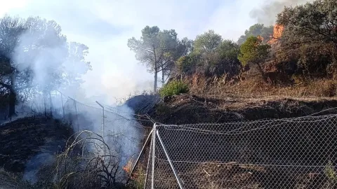 Imagen de la noticia: Un incendio en la zona recreativa de El Gergal se extingue el mismo sábado