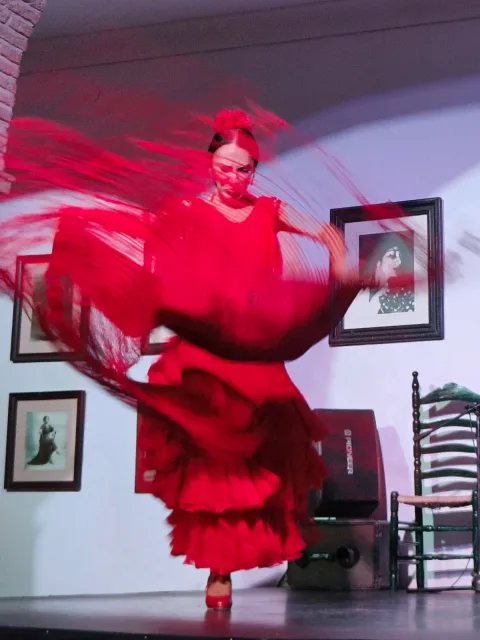 Image for the story: Morón now has the project for the Municipal Flamenco Centre