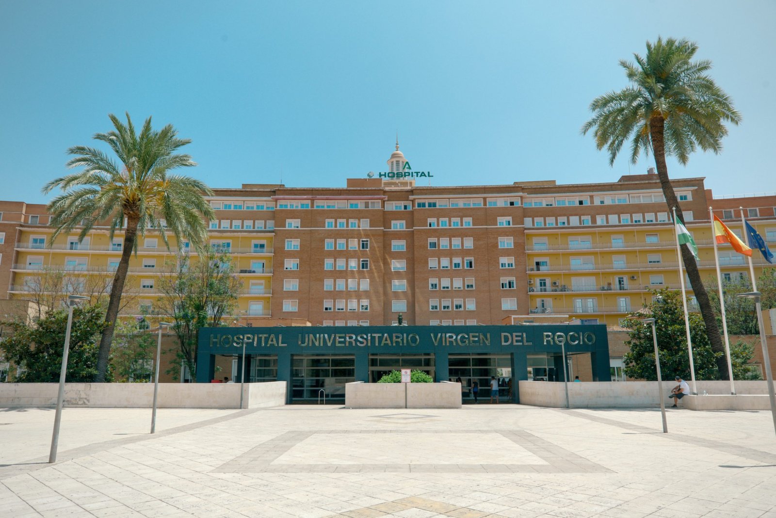 Fachada de ladrillo de un hospital con entrada acristalada, palmeras y banderas en una plaza amplia.