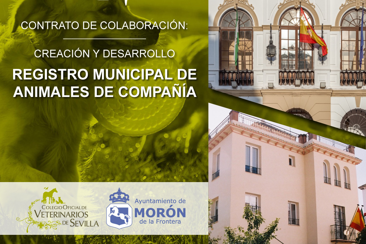 Cartel con un perro verde a la izquierda, texto sobre el registro municipal de animales y dos edificios oficiales a la derecha.