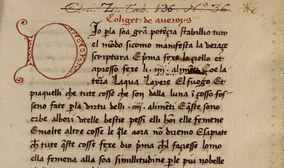 Página de manuscrito antiguo con letra gótica en tinta marrón y una gran letra capital decorada en rojo.