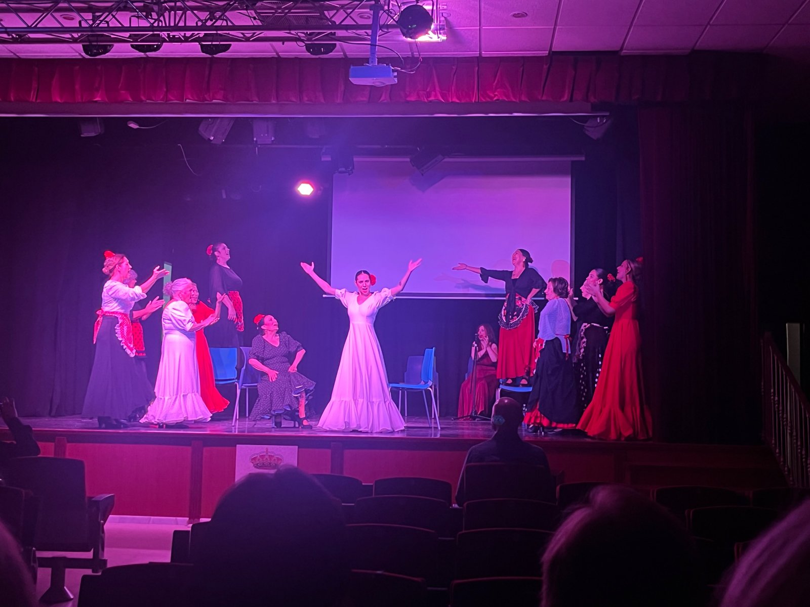 Varias mujeres con trajes flamencos actúan sobre un escenario iluminado en violeta ante un público sentado.