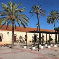 Imagen de la noticia: Pedro Manzano da una conferencia sobre conservación en el Museo de Alcalá