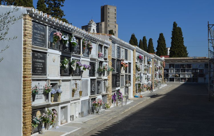 Nicho de cementerio con flores y placas, una pared larga de tumbas y cipreses al fondo bajo cielo azul.